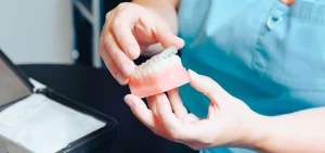 Dentist showing a model of teeth